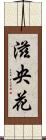 滋央花 Scroll