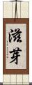 滋芽 Scroll