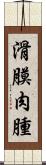 滑膜肉腫 Scroll