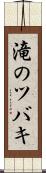 滝のツバキ Scroll