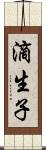 滴生子 Scroll