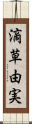 滴草由実 Scroll