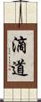 滴道 Scroll