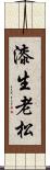 漆生老松 Scroll