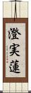 澄実蓮 Scroll