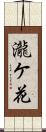 瀧ケ花 Scroll
