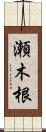 瀬木根 Scroll