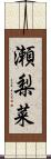 瀬梨菜 Scroll