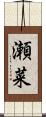 瀬菜 Scroll
