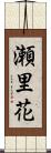 瀬里花 Scroll