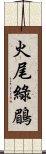 火尾綠鶥 Scroll