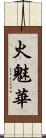 火魅華 Scroll