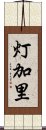 灯加里 Scroll