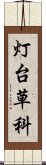 灯台草科 Scroll