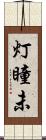 灯瞳未 Scroll