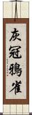 灰冠鴉雀 Scroll