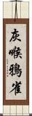 灰喉鴉雀 Scroll