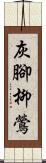 灰腳柳鶯 Scroll