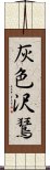 灰色沢鵟 Scroll