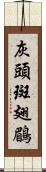 灰頭斑翅鶥 Scroll