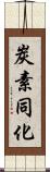 炭素同化 Scroll