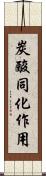 炭酸同化作用 Scroll