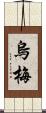 烏梅 Scroll