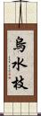 烏水枝 Scroll