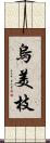 烏美枝 Scroll