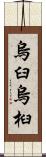 烏臼 Scroll