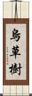 烏草樹 Scroll