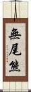 無尾熊 Scroll