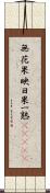 無花果 Scroll