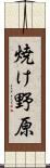焼け野原 Scroll