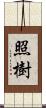 照樹 Scroll