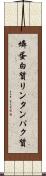 燐蛋白質 Scroll
