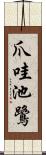 爪哇池鷺 Scroll