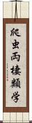 爬虫両棲類学 Scroll