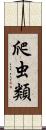 爬虫類 Scroll
