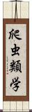 爬虫類学 Scroll