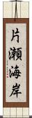 片瀬海岸 Scroll