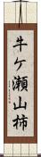 牛ケ瀬山柿 Scroll