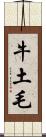 牛土毛 Scroll