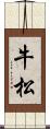 牛松 Scroll