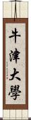 牛津大學 Scroll