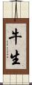 牛生 Scroll