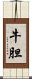 牛胆 Scroll