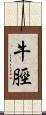 牛脛 Scroll