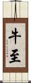 牛至 Scroll