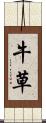 牛草 Scroll
